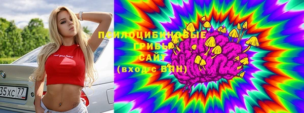 2c-b Верея
