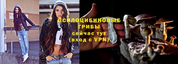 2c-b Верея