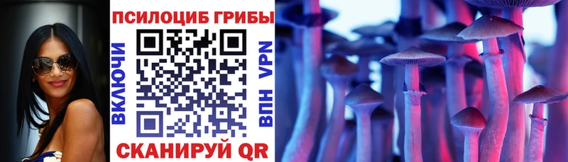 Купить закладки  Порхов  Псилоцибиновые грибы MAGIC MUSHROOMS 