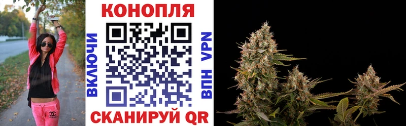 Шишки марихуана семена Купить Порхов
